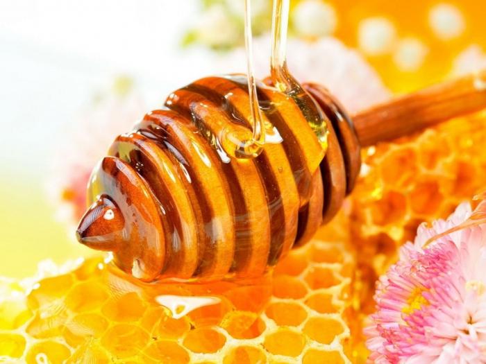 Včelí výhody a škody